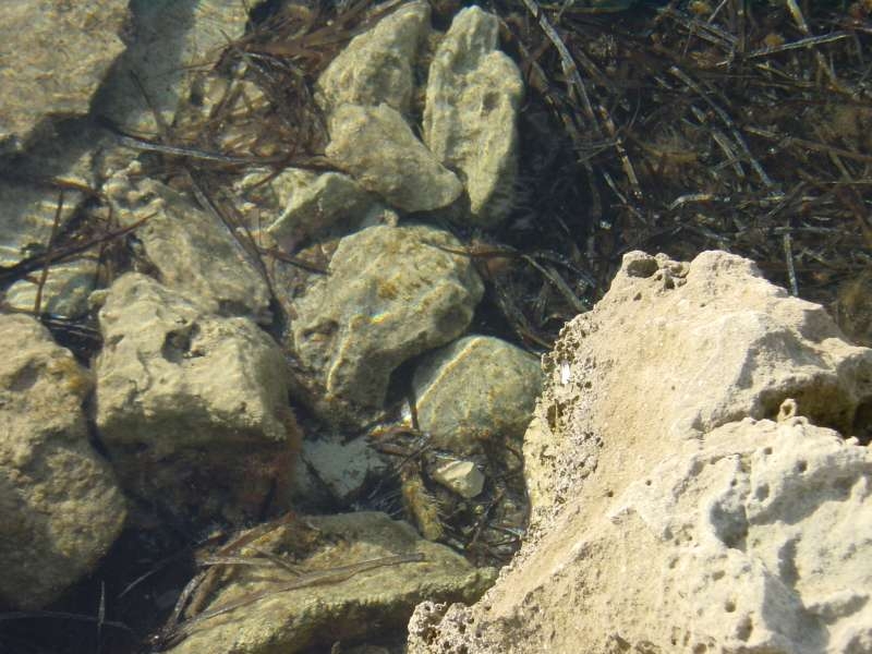 Ibiza2005-306 