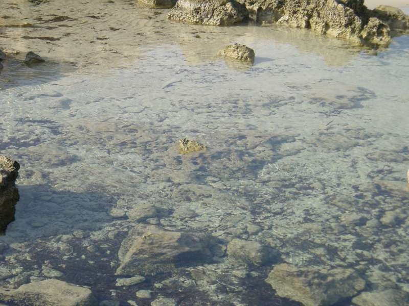 Ibiza2005-307 