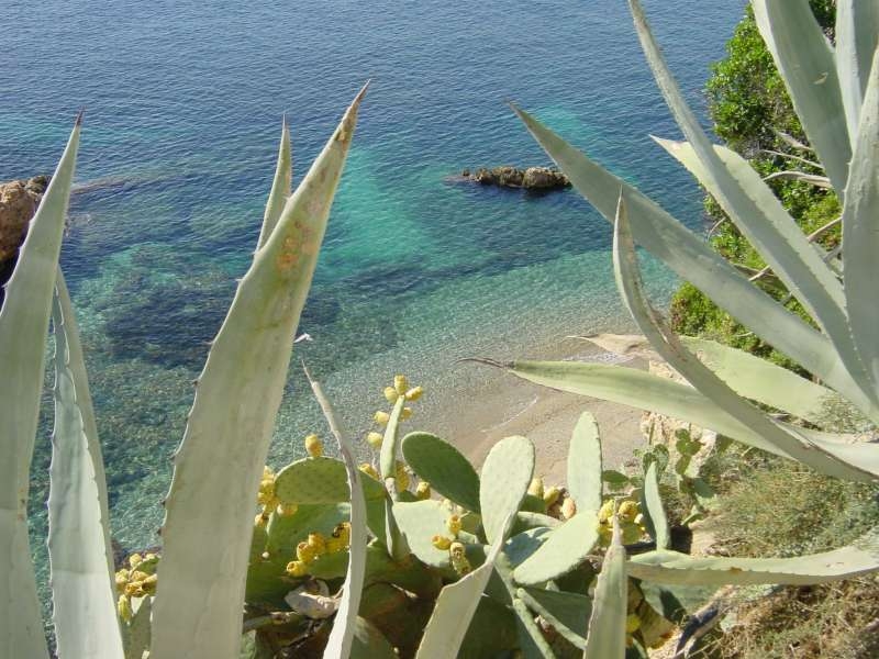 Ibiza2005-413 