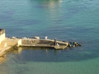 Ibiza2005-008 