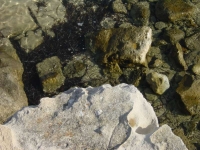 Ibiza2005-29 