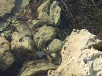 Ibiza2005-306 