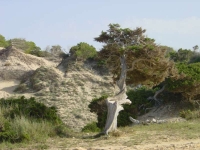 Ibiza2005-309 
