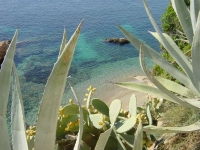 Ibiza2005-413 